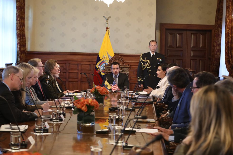noboa.jpg